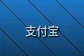 支持支付宝在线支付